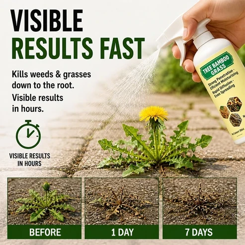 🔥2026 HOT SALE✨ - Fast-Acting Natural Weed & Grass Killer Spray