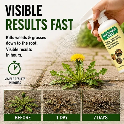🔥2026 HOT SALE✨ - Fast-Acting Natural Weed & Grass Killer Spray
