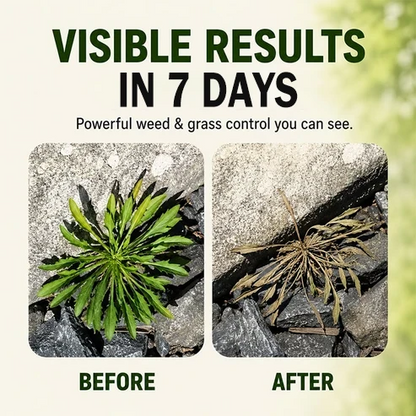 🔥2026 HOT SALE✨ - Fast-Acting Natural Weed & Grass Killer Spray