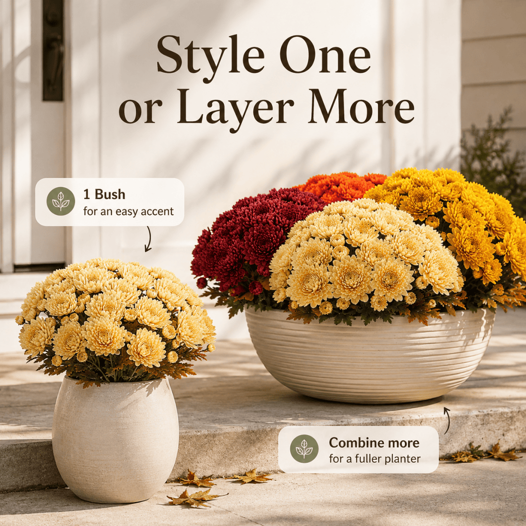 💥Last Day 50% OFF🌼-Autumn Bloom Faux Chrysanthemum Bush