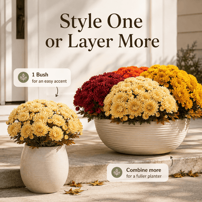 💥Last Day 50% OFF🌼-Autumn Bloom Faux Chrysanthemum Bush