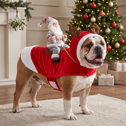 🎅 SantaRider™ Christmas Dog Costume-Turn Your Dog Into Santa’s Funniest Christmas Ride! 🐶🎄