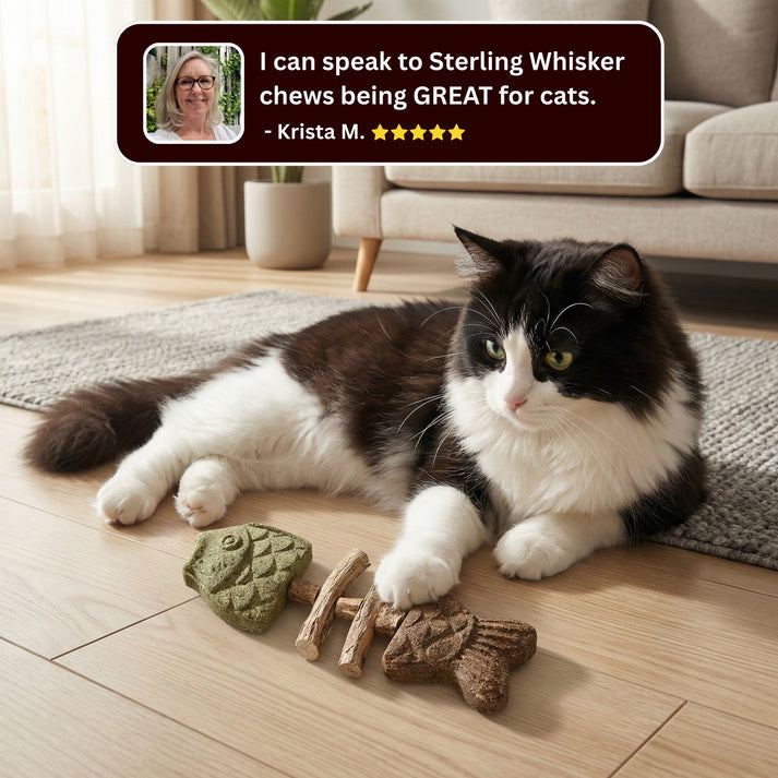 🔥Day Sale 50% OFF-Catnip & Silvervine Chew