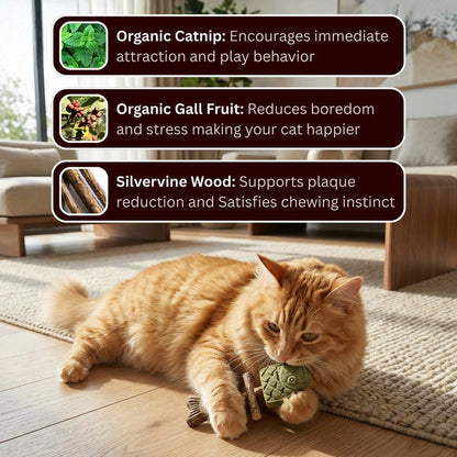 🔥Day Sale 50% OFF-Catnip & Silvervine Chew