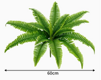 60cm