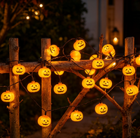 Solar Pumpkin Stake Lights+3m Pumpkin Sring Lights