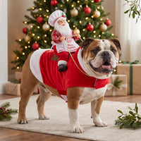 Cozy Santa