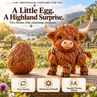 Highland Cow