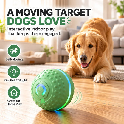 Self-Moving Interactive Dog Ball – USB Rechargeable Pet Toy
