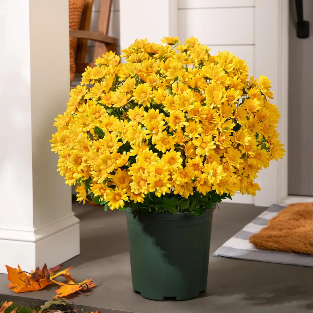💐2026 Spring Hot Sale💥- Artificial Outdoor Sunset Mums Flowers - UV resistant, Waterproof, Windproof