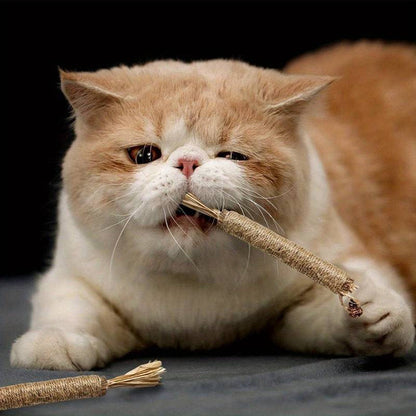 All Natural Catnip Teething Toy For Cats