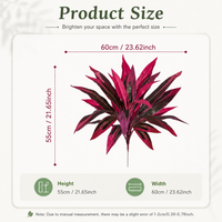 Dragon's Blood Tree Plants(18-Branch)