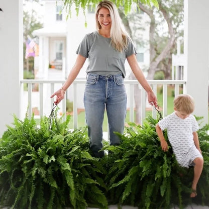 🔥 Newly Upgraded🔥Oversized Pre-Lit Artificial Boston Ferns --No watering, No fading