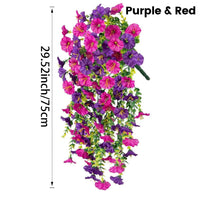 Purple & Pink