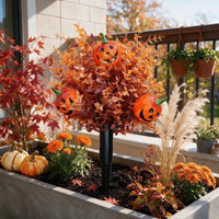 Autumn Violet Pumpkin