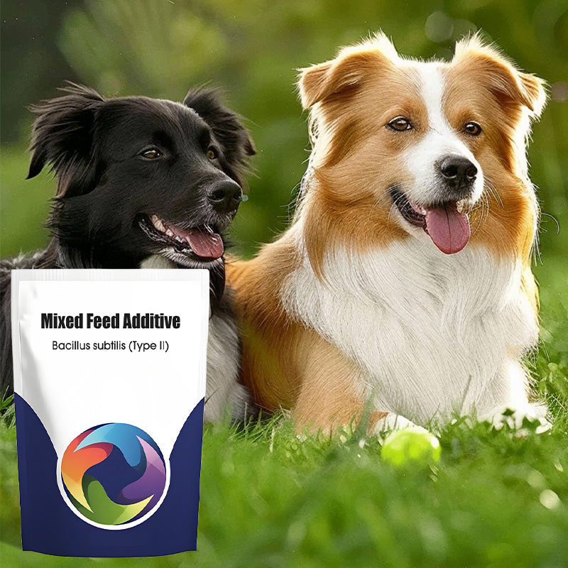 Probiotic & Enzyme Feed Additive