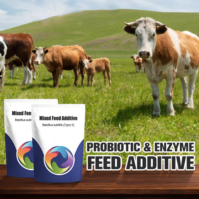 Probiotic & Enzyme Feed Additive