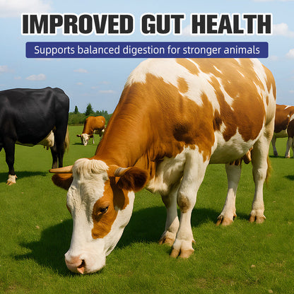 Probiotic & Enzyme Feed Additive