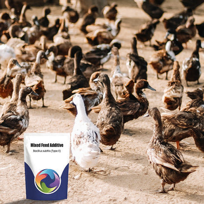 Probiotic & Enzyme Feed Additive
