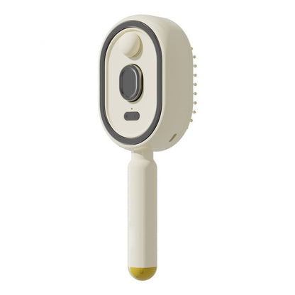 Electric Spray Air Cushion Massage Comb